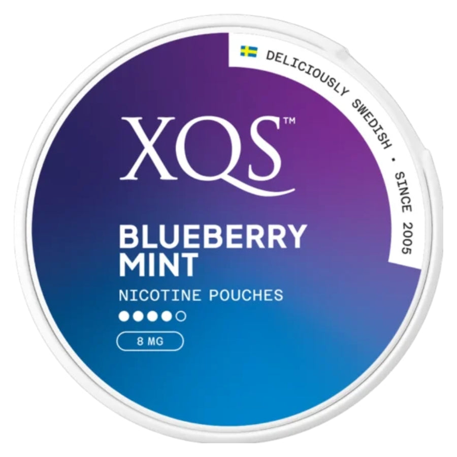 XQS Blueberry Mint Nicotine Pouches 8mg - Case of 10